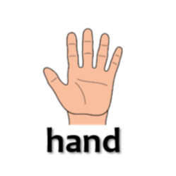 hand