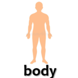 body